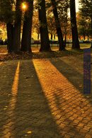 Nazwa pliku=Al_3_maja_07.jpg
Wielkość pliku=318KiB
Rozmiar=933x1400
Data dodania= 08, Październik 2025 Al_3_maja_07.jpg