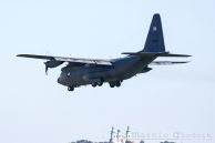 C-130E_Hercules_PolAF_1502_02.jpg