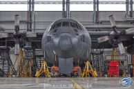 C-130E_Hercules_PolAF_1503_01.jpg