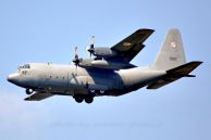 C-130E_Hercules_PolAF_1507_02.jpg