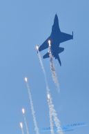 F-16AM_Fighting_Falcon_BelAF_FA-110_11.jpg
