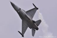 F-16AM_Fighting_Falcon_HolandAF_J-631_01.jpg