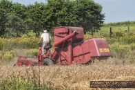 KombajnZbozowyMasseyFerguson3102.jpg