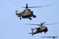 Mi-17_Hip_PolAF_603_02.jpg