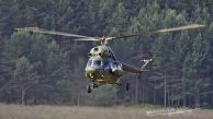 Mi-2D_Hoplite_PolandArmy_49_psb_5244_01.jpg