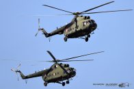 Mi-8T-SAR_Hip_PolandAF_65501.jpg