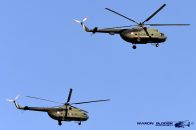Mi-8T_Hip_PolandArmy_649_1DL01.jpg