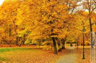 Nazwa pliku=Park_DecjuszaAlejka3Drzew01.jpg
Wielkość pliku=481KiB
Rozmiar=1400x933
Data dodania= 09, Październik 2025 Park_DecjuszaAlejka3Drzew01.jpg