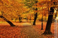 Nazwa pliku=Park_DecjuszaAlejkaWschodnia01.jpg
Wielkość pliku=462KiB
Rozmiar=1400x933
Data dodania= 09, Październik 2025 Park_DecjuszaAlejkaWschodnia01.jpg