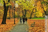 Nazwa pliku=Park_DecjuszaAlejki02.jpg
Wielkość pliku=424KiB
Rozmiar=1366x911
Data dodania= 28, Wrzesień 2025 Park_DecjuszaAlejki02.jpg