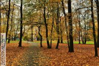 Nazwa pliku=Park_DecjuszaAlejki05.jpg
Wielkość pliku=519KiB
Rozmiar=1400x933
Data dodania= 28, Wrzesień 2025 Park_DecjuszaAlejki05.jpg