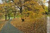 Nazwa pliku=Park_DecjuszaAlejkizGory03.jpg
Wielkość pliku=429KiB
Rozmiar=1400x933
Data dodania= 29, Wrzesień 2025 Park_DecjuszaAlejkizGory03.jpg