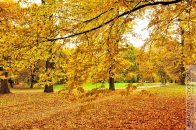 Nazwa pliku=Park_DecjuszaLakaChopena01.jpg
Wielkość pliku=549KiB
Rozmiar=1400x933
Data dodania= 09, Październik 2025 Park_DecjuszaLakaChopena01.jpg