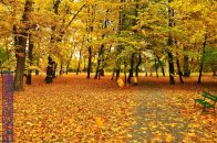 Nazwa pliku=Park_Decjusza_14.jpg
Wielkość pliku=450KiB
Rozmiar=1400x933
Data dodania= 09, Październik 2025 Park_Decjusza_14.jpg