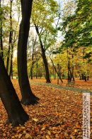 Nazwa pliku=Park_Decjusza_DrzewaKlon05.jpg
Wielkość pliku=483KiB
Rozmiar=933x1400
Data dodania= 21, Wrzesień 2025 Park_Decjusza_DrzewaKlon05.jpg