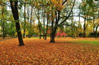 Nazwa pliku=Park_Decjusza_DrzewaKlon08.jpg
Wielkość pliku=519KiB
Rozmiar=1400x933
Data dodania= 22, Wrzesień 2025 Park_Decjusza_DrzewaKlon08.jpg