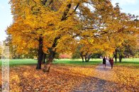 Nazwa pliku=Park_JordanaAlejaSrodkowa04.jpg
Wielkość pliku=480KiB
Rozmiar=1400x933
Data dodania= 01, Październik 2025 Park_JordanaAlejaSrodkowa04.jpg