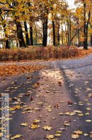 Nazwa pliku=Park_JordanaBoisko01.jpg
Wielkość pliku=486KiB
Rozmiar=934x1400
Data dodania= 08, Październik 2025 Park_JordanaBoisko01.jpg