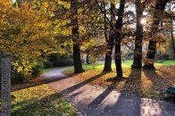 Nazwa pliku=Park_Jordana_Drzewa03.jpg
Wielkość pliku=497KiB
Rozmiar=1400x933
Data dodania= 01, Październik 2025 Park_Jordana_Drzewa03.jpg