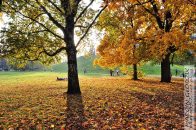 Nazwa pliku=Park_Jordana_Drzewa12.jpg
Wielkość pliku=553KiB
Rozmiar=1400x933
Data dodania= 08, Październik 2025 Park_Jordana_Drzewa12.jpg