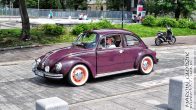 Vw_Garbus_130308~0.jpg