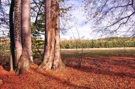 Nazwa pliku=buczyna_159.jpg
Wielkość pliku=522KiB
Rozmiar=1400x933
Data dodania= 21, Lipiec 2025 buczyna_159.jpg