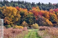 Nazwa pliku=droga_polna_08.jpg
Wielkość pliku=392KiB
Rozmiar=1400x934
Data dodania= 21, Wrzesień 2025 droga_polna_08.jpg