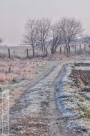 Nazwa pliku=droga_polna_Balice06.jpg
Wielkość pliku=273KiB
Rozmiar=933x1400
Data dodania= 30, Wrzesień 2025 droga_polna_Balice06.jpg