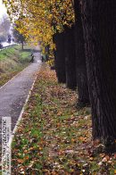 Nazwa pliku=drogawsroddrzewBalice04.jpg
Wielkość pliku=440KiB
Rozmiar=933x1400
Data dodania= 21, Wrzesień 2025 drogawsroddrzewBalice04.jpg