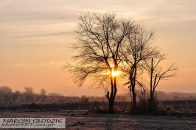 Nazwa pliku=drzewa_balickie_09.jpg
Wielkość pliku=283KiB
Rozmiar=1400x933
Data dodania= 22, Listopad 2025 drzewa_balickie_09.jpg