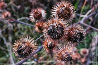 Nazwa pliku=oset_04.jpg
Wielkość pliku=269KiB
Rozmiar=1400x933
Data dodania= 26, Sierpień 2025 oset_04.jpg