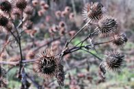 Nazwa pliku=oset_13.jpg
Wielkość pliku=211KiB
Rozmiar=1400x934
Data dodania= 26, Sierpień 2025 oset_13.jpg