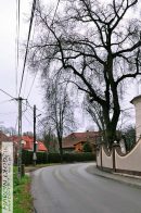 Nazwa pliku=ulice_krakowaKsPopieluszkiJerzego01.jpg
Wielkość pliku=361KiB
Rozmiar=933x1400
Data dodania= 04, Sierpień 2025 ulice_krakowaKsPopieluszkiJerzego01.jpg